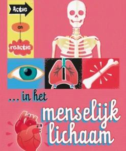 Actie en reactie in het menselijk lichaam