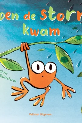 Toen de storm kwam