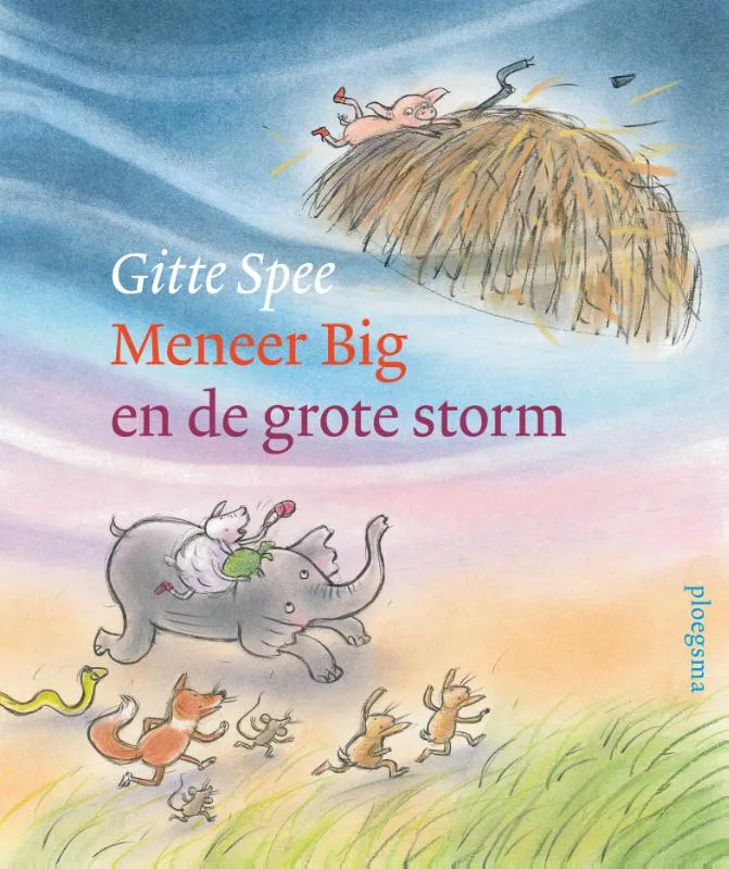 Meneer Big en de grote storm | 9789021683553 Meneer Big en de grote storm