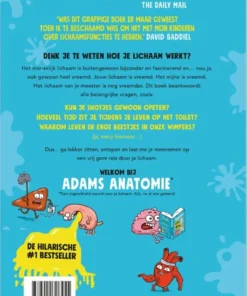 Alternative view of Adams anatomie