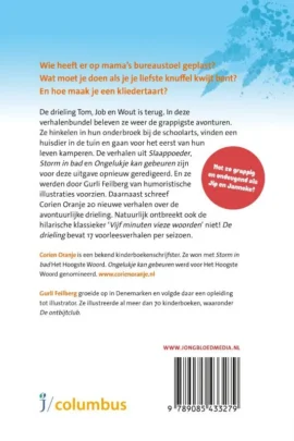 Alternative view of De drieling