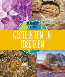 Gesteenten en fossielen