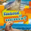 Zeehond of zeeleeuw? | 9789464392104 Zeehond of zeeleeuw? | 9789464392104