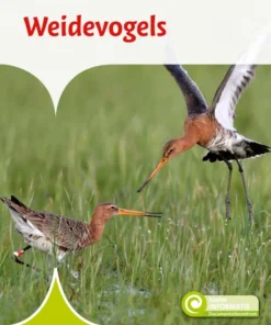 Weidevogels
