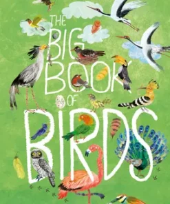 The Big Book of Birds