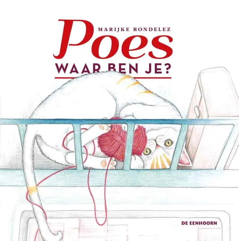 Poes, waar ben je? | 9789462912052 Poes, waar ben je?
