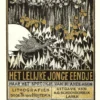 Het lelijke jonge eendje | 9789492986337 Het lelijke jonge eendje | 9789492986337
