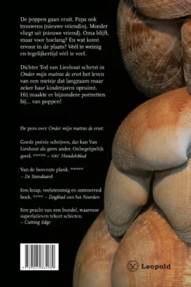 Alternative view of Onder mijn matras de erwt