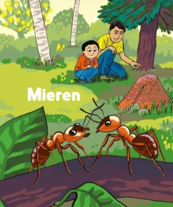Mieren