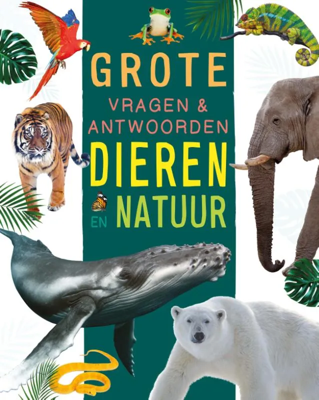 Grote vragen & antwoorden | 9789036647724 Grote vragen & antwoorden