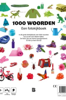 Alternative view of 1000 woorden