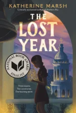 The lost year | 9781035028177 The lost year | 9781035028177