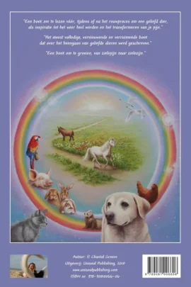 Alternative view of Zielepijn