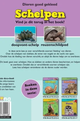 Alternative view of Schelpen