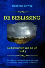 De beslissing | 9789493351035