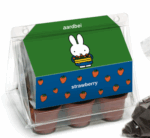 Nijntje Minikas Aardbei. | 8720648876691