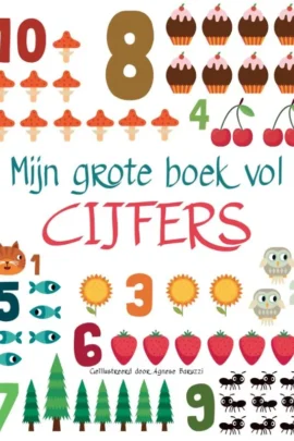 Mijn grote boek vol cijfers