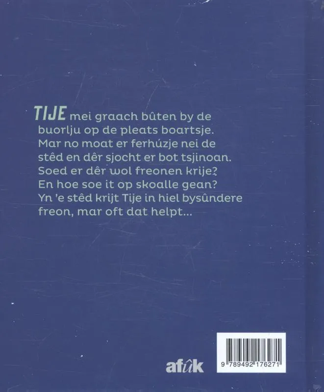 Tije | 9789492176271 Tije - Afbeelding 2