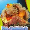 Zee-anemonen | 9789463412605