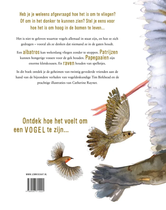 Zo voelt het om een vogel te zijn - Afbeelding 2