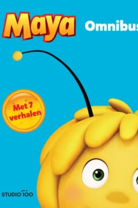 omnibus