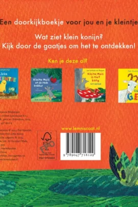 Alternative view of Klein konijn