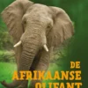 De Afrikaanse olifant | 9789463413169