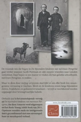 Alternative view of Omhulde stad