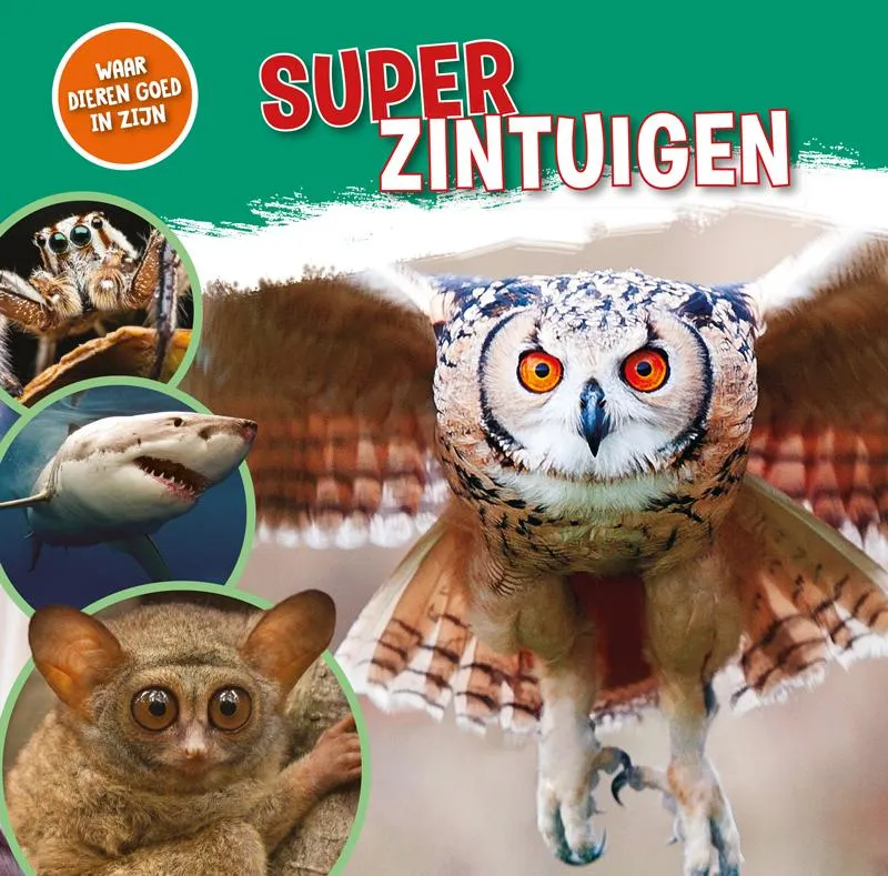 Superzintuigen | 9789464390193 Superzintuigen