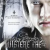 De duistere fae | 9789402705935