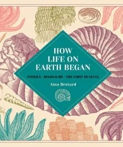 Fossils · Dinosaurs · The First Humans