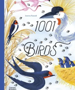 1001 Birds
