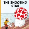 The Shooting Star | 9798890634085