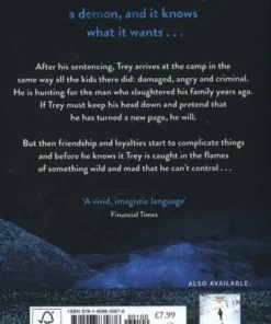 The Light That Gets Lost | 9781408835876