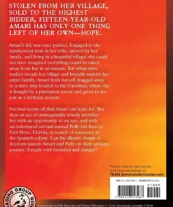 Alternative view of Copper Sun