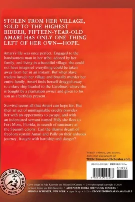 Copper Sun | 9781416953487