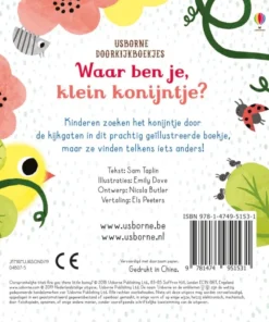 Waar ben je, klein konijntje? | 9781474951531