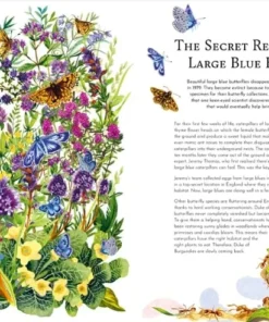 Return of the Wild - 20 of Nature's Greatest Success Stories | 9781510230132