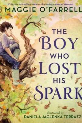 The Boy Who Lost His Spark