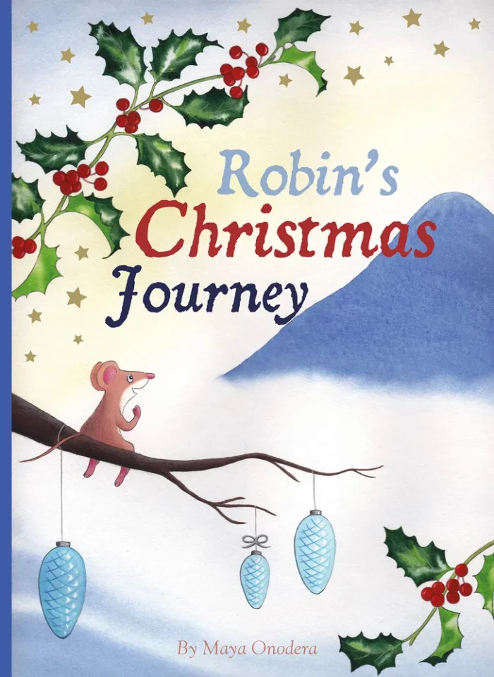 Robin's Christmas Journey