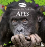 Wow! Apes. How Much We Look Alike | 9781605378732