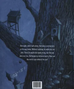 The Day the Sun Did | 9781788070201 The Day the Sun Did | 9781788070201