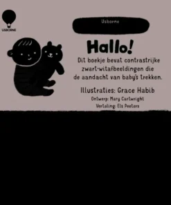Alternative view of Hallo!