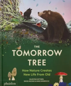 The Tomorrow Tree - How Nature Creates New Life From Old