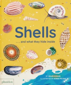 Shells... and what they hide inside - A Lift-the-Flap Adventure