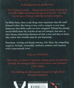 Alternative view of New moon