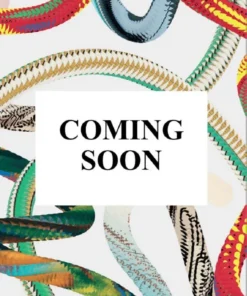 Small Stories of Great Artists