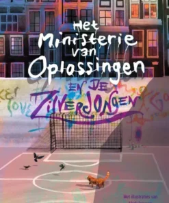 Het Ministerie van Oplossingen en de Zilverjongen
