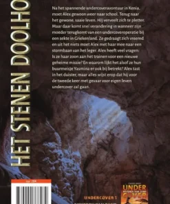 Alternative view of Het stenen doolhof