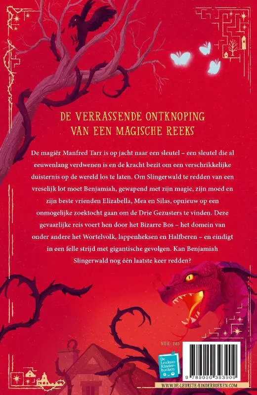 De verdwenen sleutel | 9789000393909 De verdwenen sleutel - Afbeelding 2